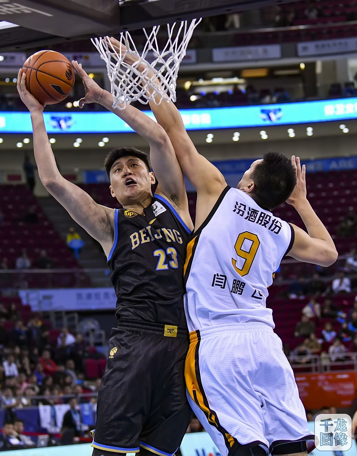 提供科学依 提供科学依