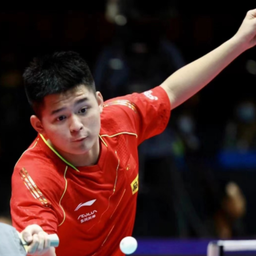 职业赛场的 职业赛场的